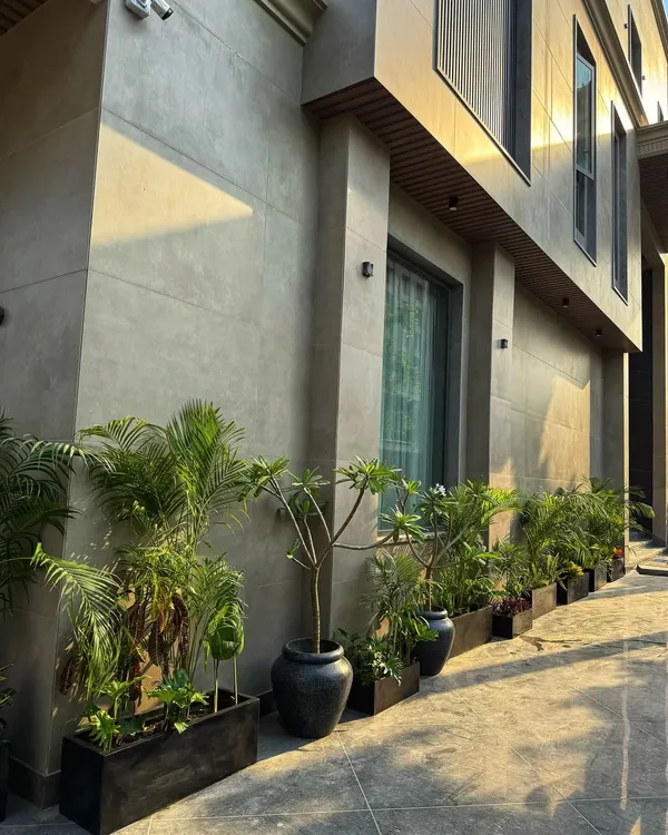 Who doesn't love a lush driveway? We lined this modern home's walkway with a combination of black planter boxes and large pots, filled with palms and Champa trees.