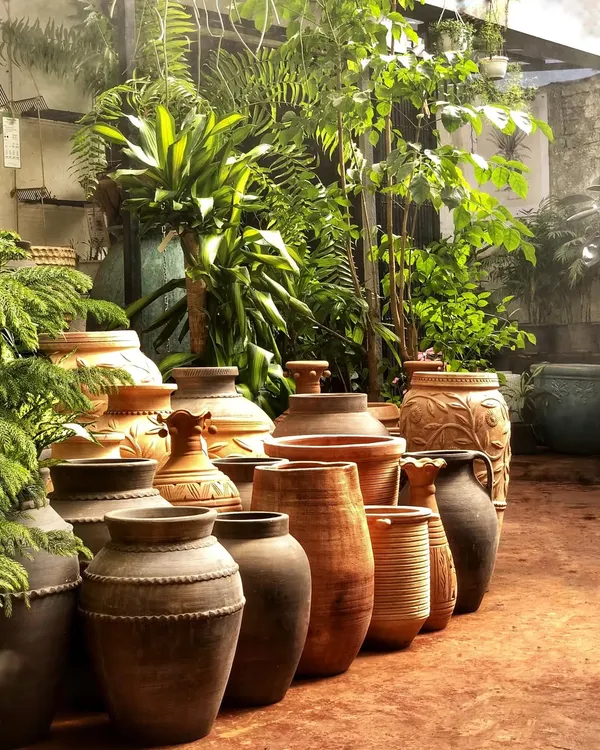 We are so proud of our gorgeous collection of terracotta pots from our brand, Terrapotta. From small tabletop sizes to massive urns, we have a pot for every plant and every style.