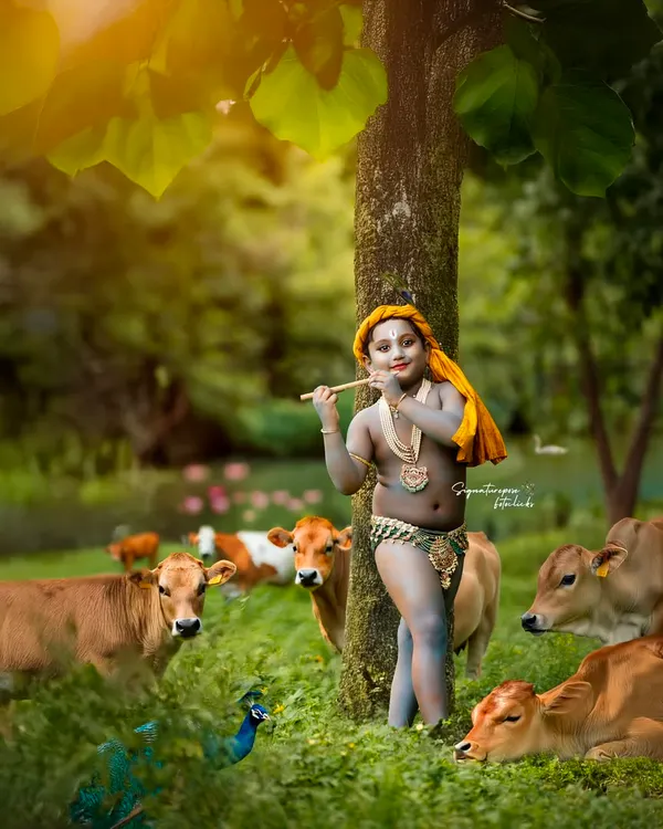 A serene portrait of little Krishna amidst his beloved cows and peacocks. We scout beautiful outdoor locations in and around Bangalore to create authentic, picturesque scenes for our mythological photoshoots.