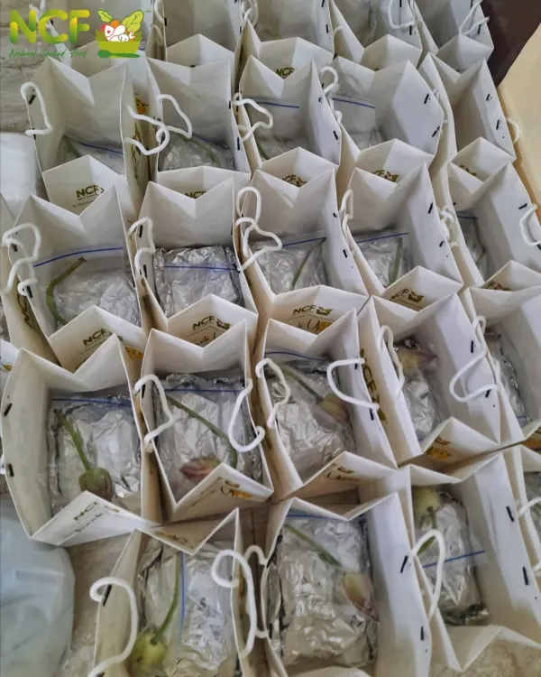 A large order of 'Khechri' packed in our NCF branded paper bags, ready for delivery. I make sure the packaging is convenient and presentable.