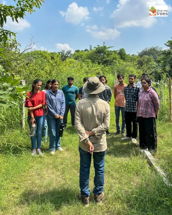 Here I am leading a group of curious students from Amity University into one of our Noida plantation sites. My goal is to make them pause, listen, and see the forest as a complete living system.