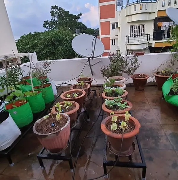A rooftop garden in Bengaluru featuring our single-tier metal stands. The arrangement allows for easy access to a variety of plants, including vegetables in grow bags and terracotta pots.