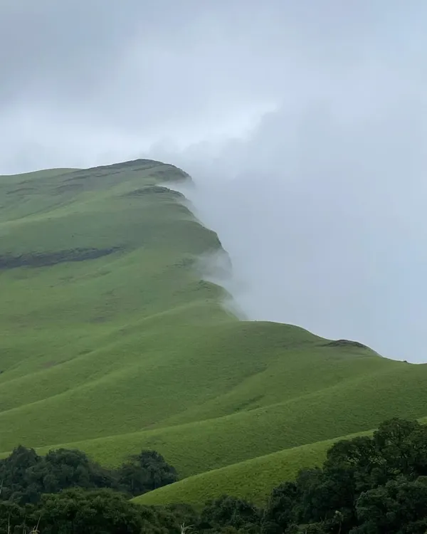 This is the view that makes every step of the climb worth it. The clouds rolling over the green hills of Netravati Peak in the Western Ghats is a sight you will never forget.