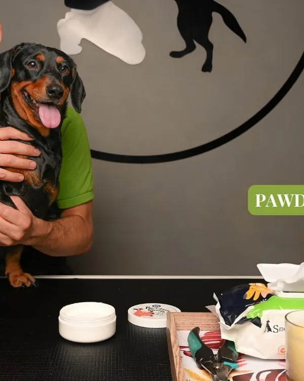 Our pawdicure service is essential for your pet's comfort. Here, we are getting ready to provide a deep moisturization treatment for healthy, soft paw pads.