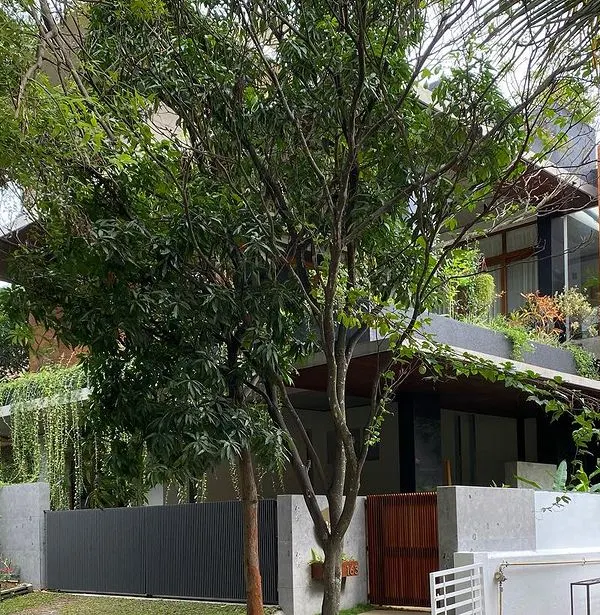 The "House of Greens" is nestled in a quiet, leafy neighborhood, designed to blend seamlessly with the surrounding trees and become a part of the landscape.