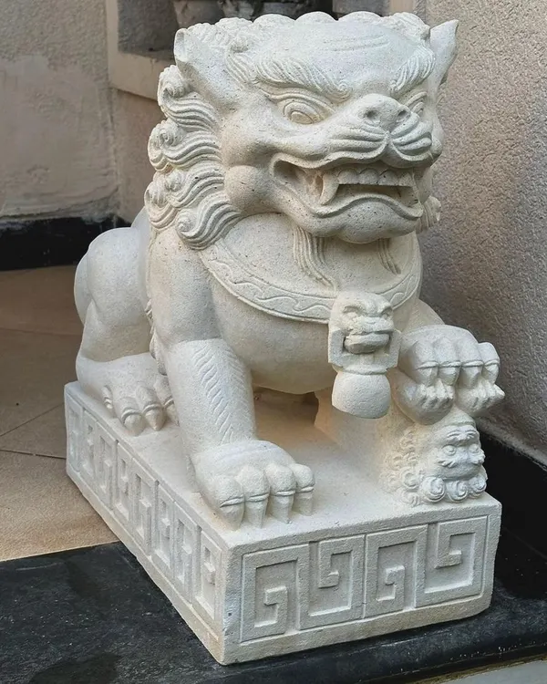 A detailed look at one of our sandstone Foo Lions. Notice the intricate carving on the mane, the powerful stance, and the symbolic ball under its paw, representing dominion over the world.