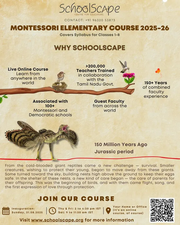 An overview of our Montessori Elementary Course, highlighting our extensive experience, global faculty, and flexible online format. This program is for anyone committed to supporting children aged 6 to 12.