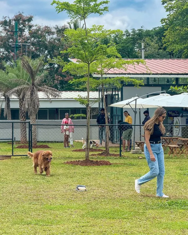A candid moment of a dog and owner enjoying a walk in our park, with others relaxing at the cafe in the background.