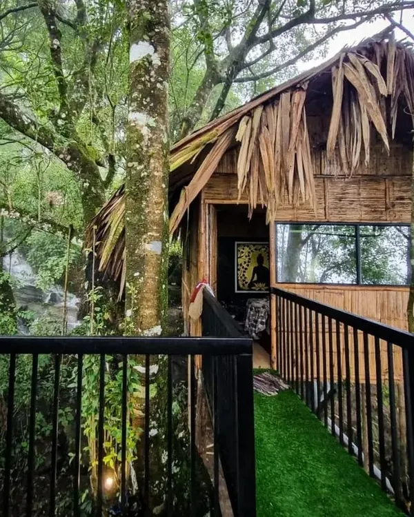Our unique treehouse stay at Vattavada, built right into the forest for an immersive nature experience.