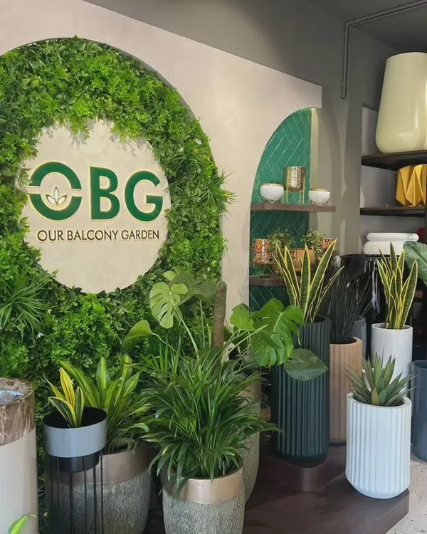 A look inside our Mangalore store, where we combine lush greenery with modern design. This display features our signature artificial green wall and a curated selection of planters, showing how we can create a vibrant focal point in any space.
