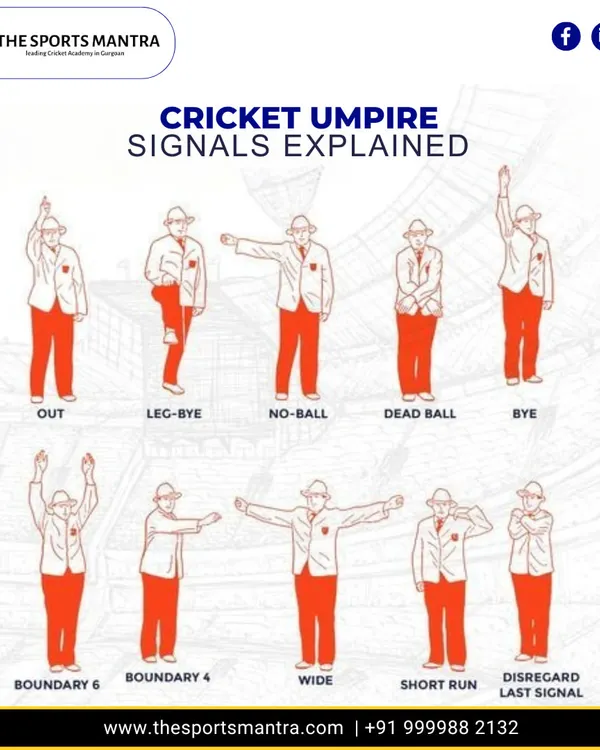 Ever wondered what the umpire's signals mean? This quick guide explains the common hand gestures used on the field, helping you decode the game like an expert.