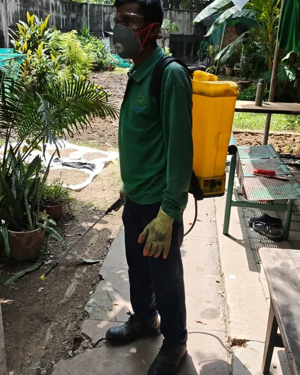 Our maintenance service includes proactive care to keep plants healthy. Here, a team member is treating plants with an eco-friendly solution to ensure they remain pest-free and vibrant.