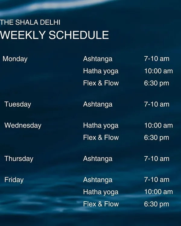 Our weekly schedule at a glance. We offer morning Ashtanga, mid-morning Hatha, and evening Flex & Flow classes to fit your routine.