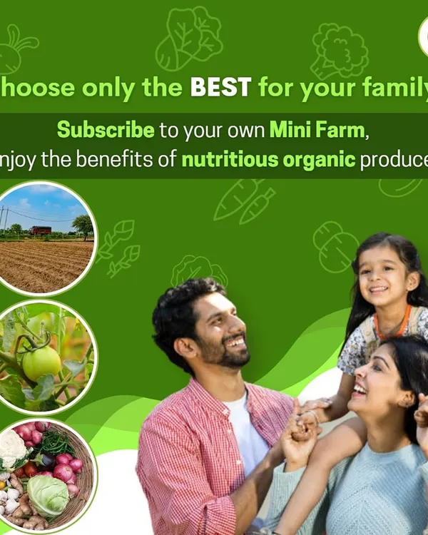 We believe the best gift you can give your family is health and connection. With your own mini farm subscription, you can watch your food grow from a tiny seed to a fresh, nutritious meal on your table, creating memories along the way.