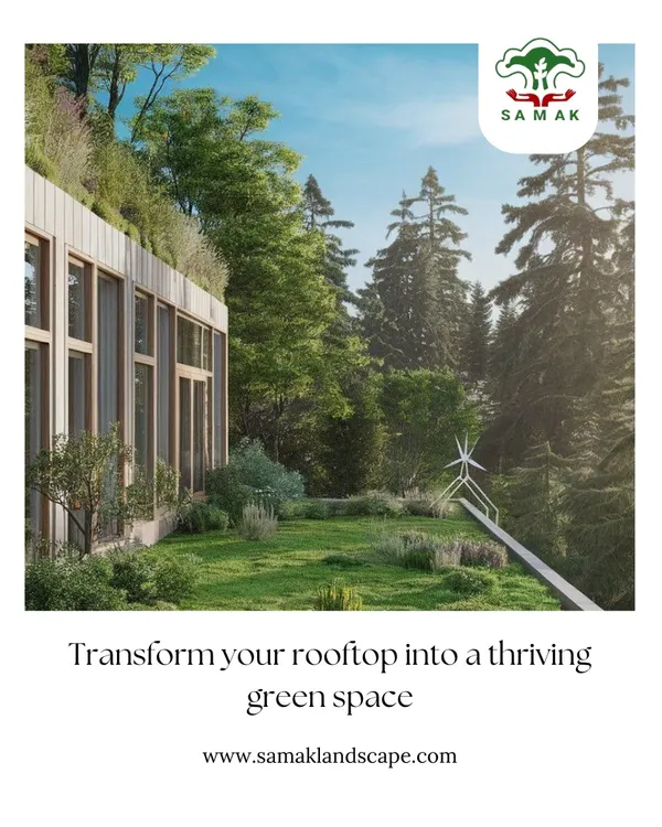 This conceptual design illustrates how a rooftop can be integrated with the surrounding environment, featuring a seamless lawn, native plantings, and a green roof on the structure itself to create a sustainable and thriving ecosystem.