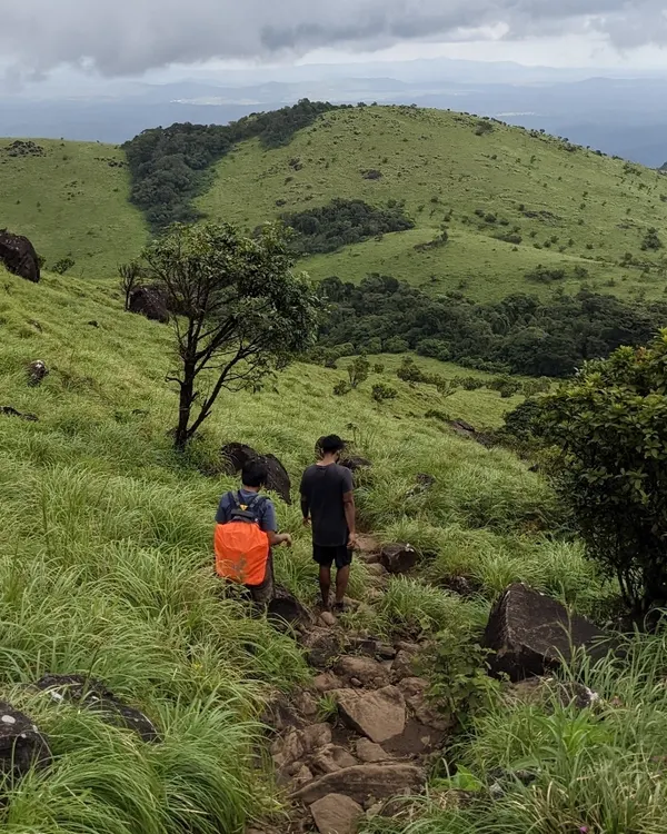 Two trekkers on the trail to Tadiandamol, Coorg's highest peak. The path winds through beautiful green meadows and Shola forests.