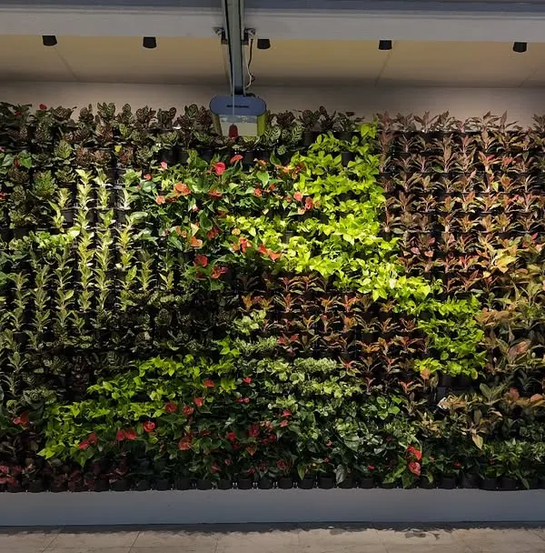 This is what I mean by turning an empty corner into a green corner. This full-height indoor vertical garden becomes a living, breathing piece of art, completely changing the feel of the space and improving air quality.