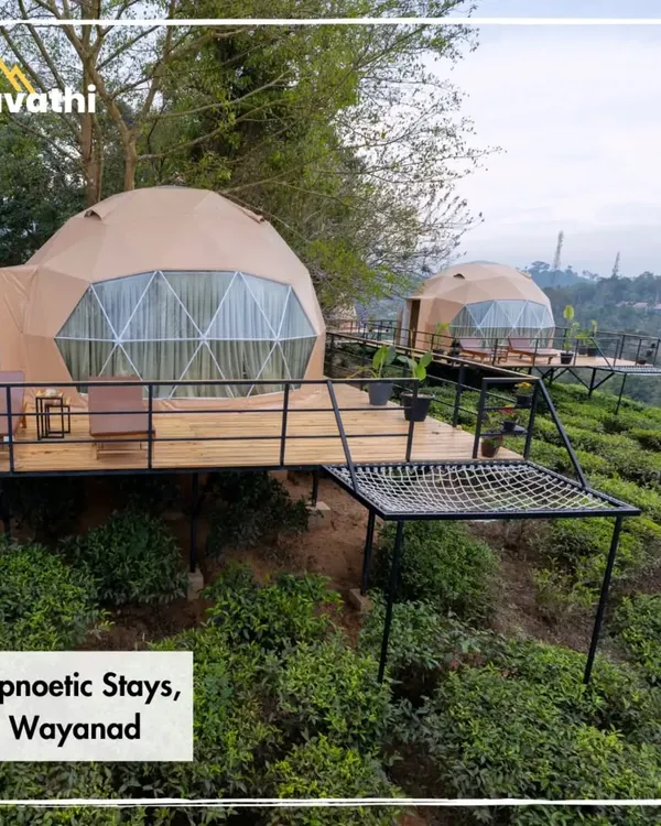 This is what I mean by an offbeat escape. Imagine waking up in this geodesic dome at Hypnotic Stays in Wayanad, surrounded by a sea of green tea plantations with panoramic valley views.