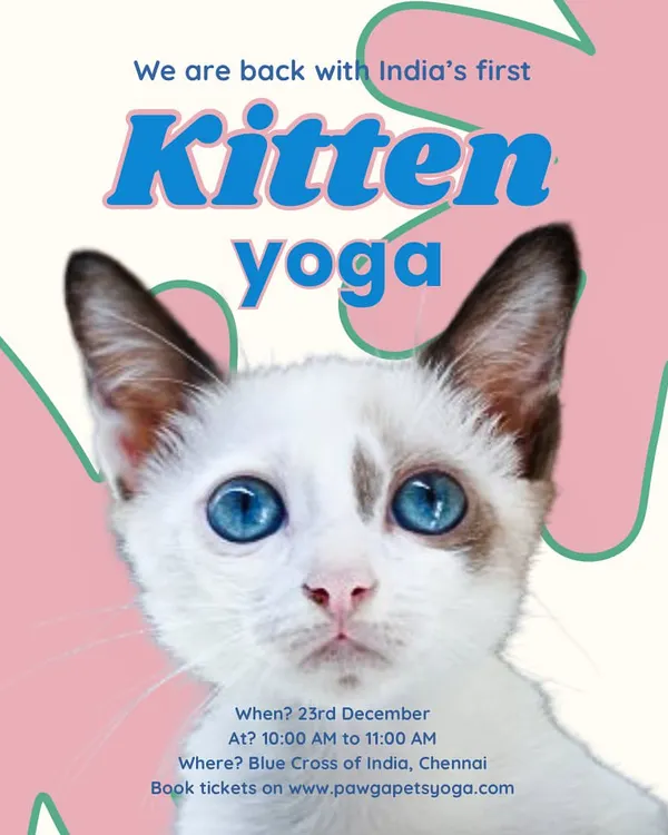 We are back with our famous kitten yoga events in Chennai. This poster features a stunning blue-eyed kitten, inviting you to a beginner-friendly flow at Blue Cross of India.