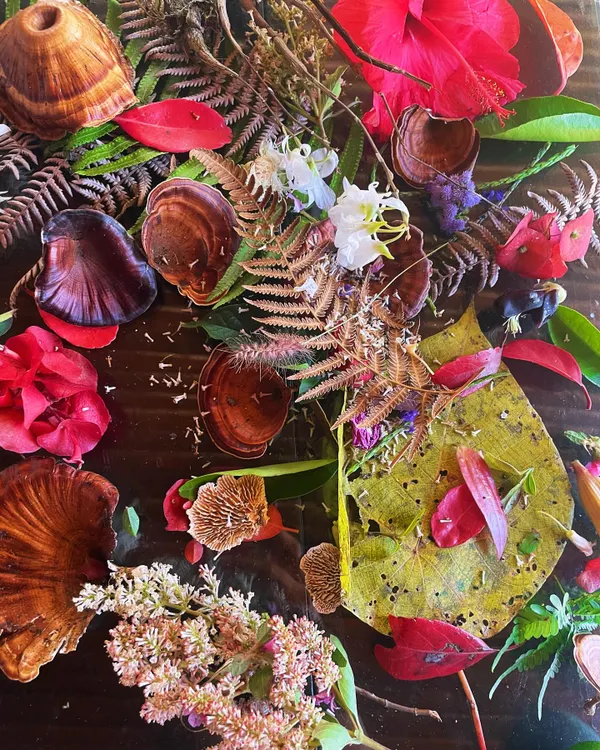 A collection of treasures gathered from a walk in the forest. Colorful leaves, unique mushrooms, and delicate flowers create a beautiful natural mandala, a reminder of the abundance and artistry of nature.