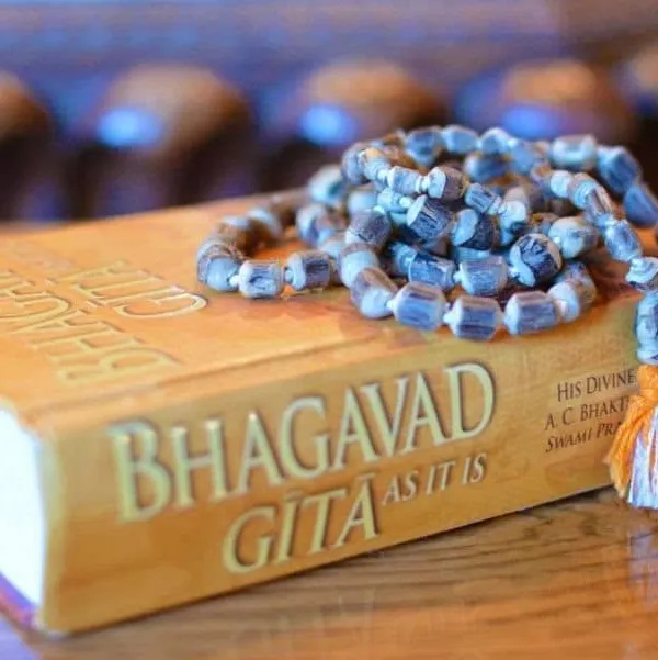 The Shrimad Bhagavad Gita is a wellspring of wisdom for any yogi. My study of these sacred texts informs my teaching, allowing me to share the philosophical underpinnings of the practice and guide you on your spiritual journey.