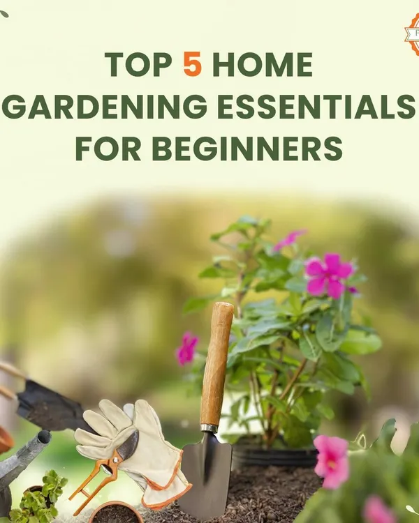 Here is a quick look at the top five essential tools I recommend for anyone starting a home garden. Having the right equipment from the beginning makes the entire process much more enjoyable and successful.