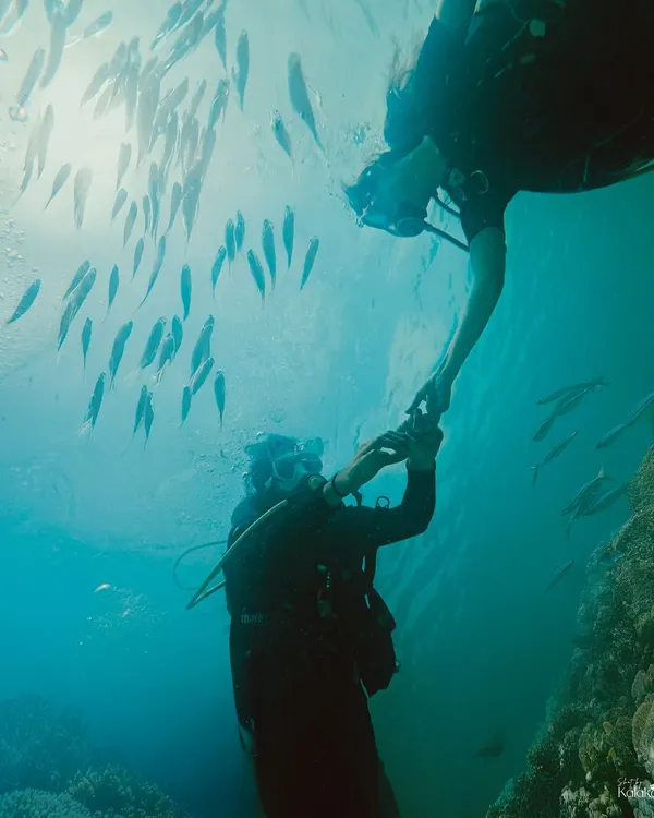 An underwater portrait of trust and connection in the clear waters of Lakshadweep. We are equipped for underwater shoots to capture these uniquely magical and adventurous pre-wedding photos.