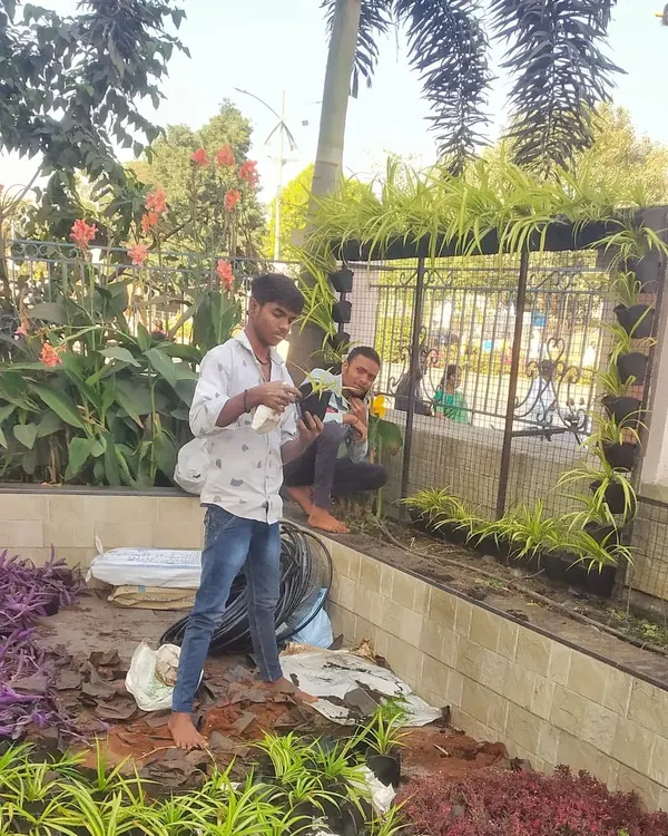 My team installing a vertical garden for the Shirdi municipality. This shows the hands-on work of placing individual plants into the wall panels.