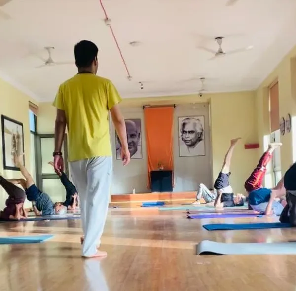 Welcome to our yoga hall. Here, we guide students through the classical Hatha yoga sequence, ensuring a supportive and focused environment for everyone, from beginners to seasoned practitioners.