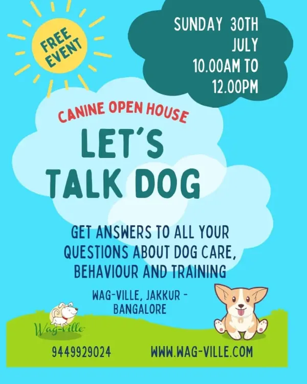 We believe in empowering pet parents with knowledge. Our "Let's Talk Dog" Canine Open House is a free monthly event where you can get answers to all your questions about dog care, behavior, and training from our experts.