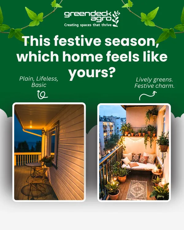 Which home feels like yours? We can transform a plain, basic balcony into a lively green escape with festive charm, using a mix of potted plants, hanging baskets, and comfortable seating.