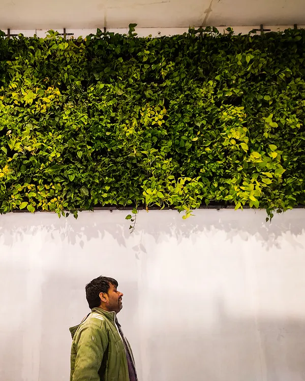 For the Auto Expo 2023 in Pragati Maidan, I designed and installed this large living wall to create a fresh and green environment for the event stall. It shows how plants can make commercial spaces more inviting.