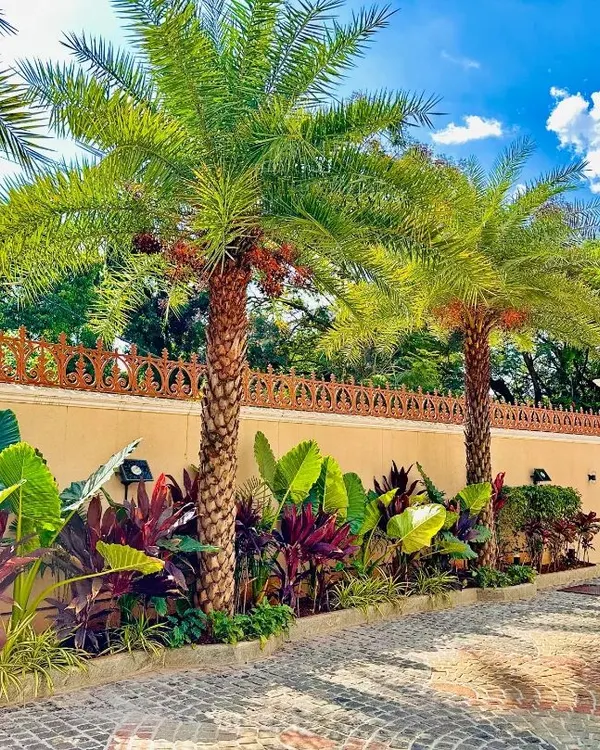The grand entrance to this Whitefield mansion is defined by majestic palm trees and vibrant, layered foliage along an ornate boundary wall. The cobblestone driveway and Mughal-inspired architecture are enhanced by a landscape design that exudes opulence.