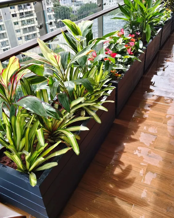 A long view of a balcony garden project, showing a line of sleek, dark planters filled with Cordyline and other foliage plants to create a lush border.