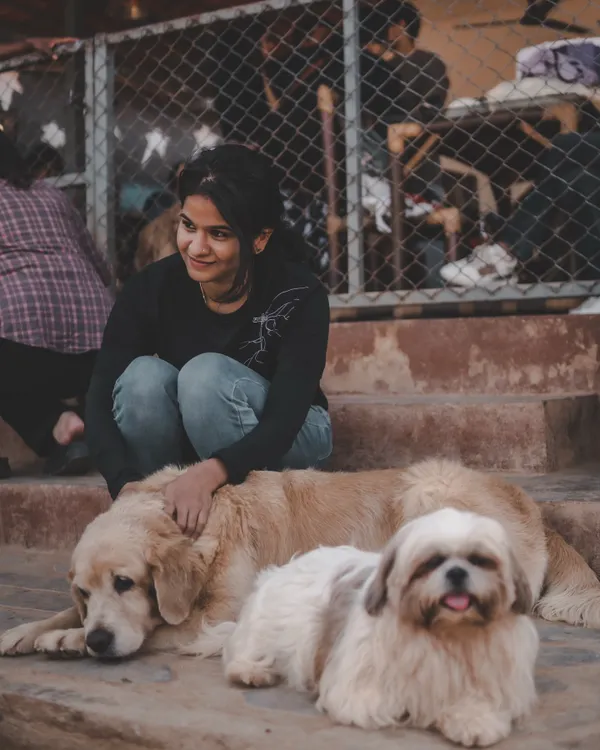 A visitor sits on the steps, sharing a calm moment with a Golden Retriever and a fluffy Shih Tzu.
