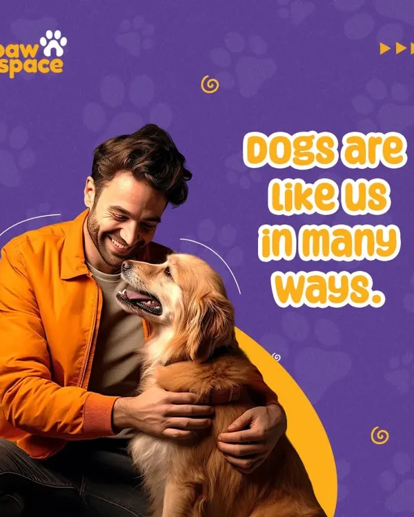 The bond between a human and a dog is truly special. We believe dogs are like us in many ways, capable of deep connection and emotion. Our training helps nurture this relationship.