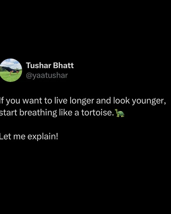 The ancient yogis knew that your life is measured in breaths, not years. Breathing slowly like a tortoise preserves your Prana (life force), reduces stress, and is a secret to longevity.