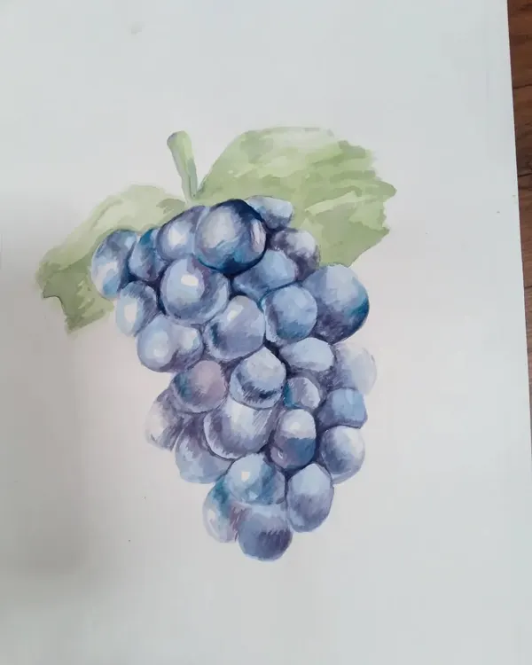 A realistic study of grapes painted by Anaya, a 9th standard student. She used watercolors on paper to capture the subtle variations in color and the translucent quality of the fruit.