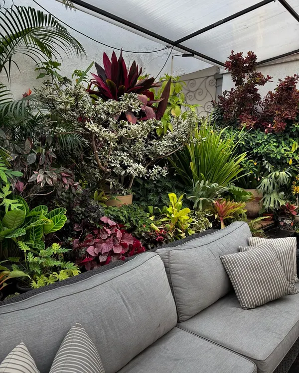 A view of a lush terrace garden in Bangalore, designed to feel like you are enveloped by nature. The grey sofa becomes a comfortable nook nestled within a vibrant, multi-layered wall of tropical plants, creating a perfect urban jungle escape.