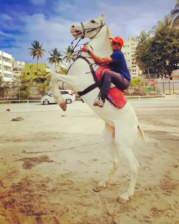 Challenge accepted. A rider and our magnificent white horse, Alex, execute a controlled rear, showcasing the trust and training that defines our equestrian practice.