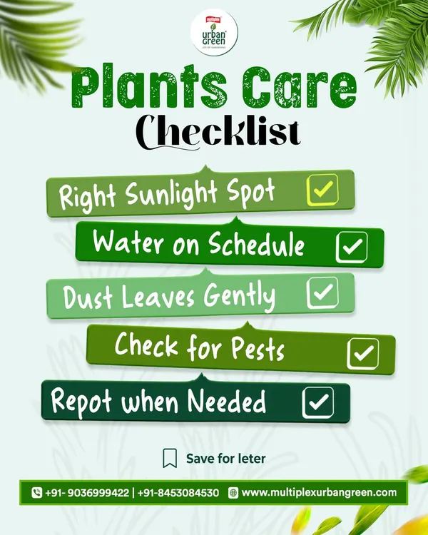 To help you succeed, we've created this simple Plant Care Checklist. Following these five steps: right sunlight, proper watering, dusting leaves, checking for pests, and repotting when needed, will keep your plants happy and healthy.