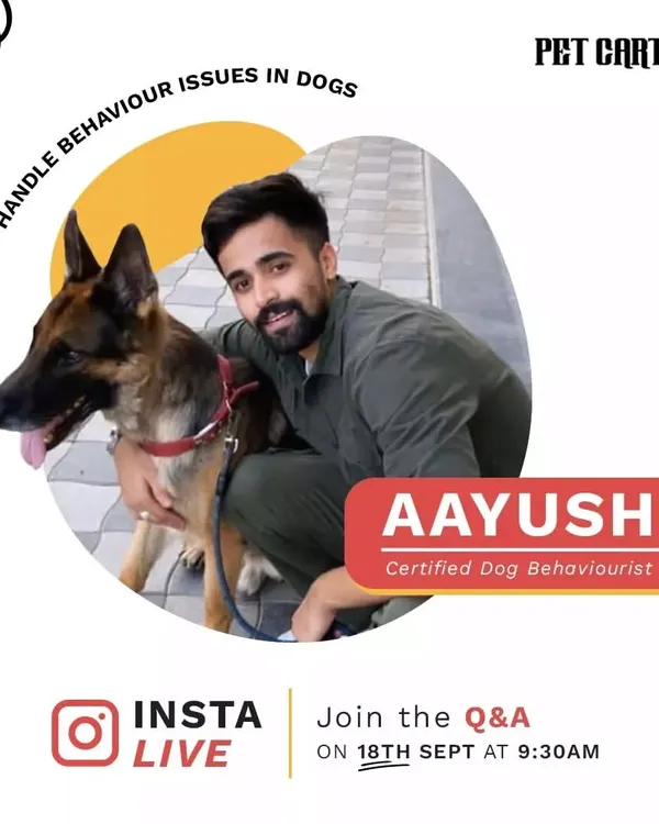 To provide the best care, I partner with certified professionals for events like this live Q&A on dog behavior. This helps me and my team stay informed on handling common issues like leash pulling or anxiety, ensuring your dog is in capable hands.