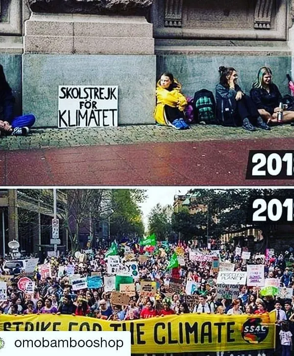 This image shows the incredible growth of the climate strike movement, started by a single person, Greta Thunberg. It's a testament to how one individual's conviction can inspire millions to demand action.