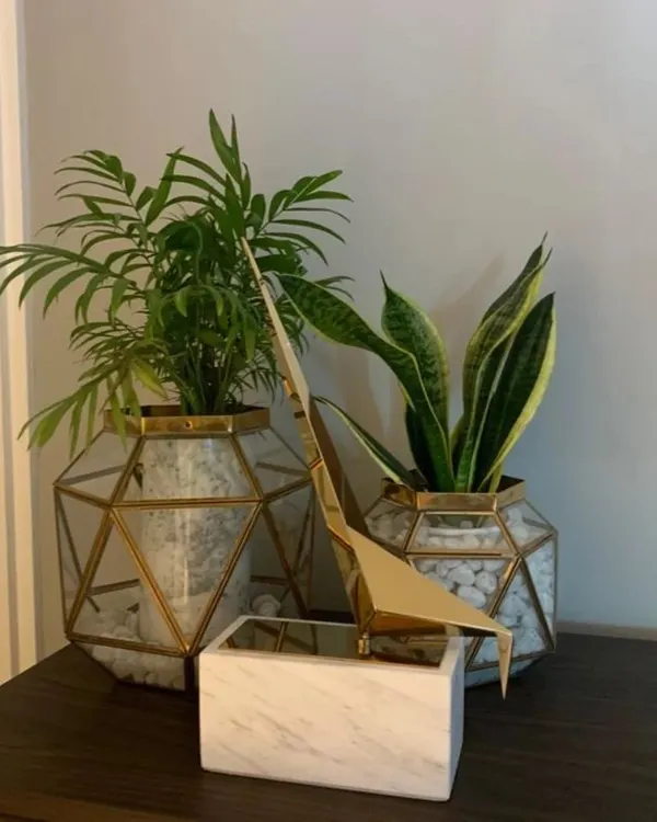 I believe the right planters are as important as the plants themselves. This arrangement features a Parlor Palm and a Snake Plant, both excellent for purifying indoor air, housed in contemporary geometric planters with brass accents. It’s a perfect example of how I blend modern decor with the natural beauty of biophilic design for a stylish tabletop.