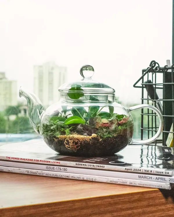 My teapot terrarium sitting on a stack of magazines, perfectly at home in a cozy reading nook. It's a functional art piece that brings a touch of nature to your daily life.
