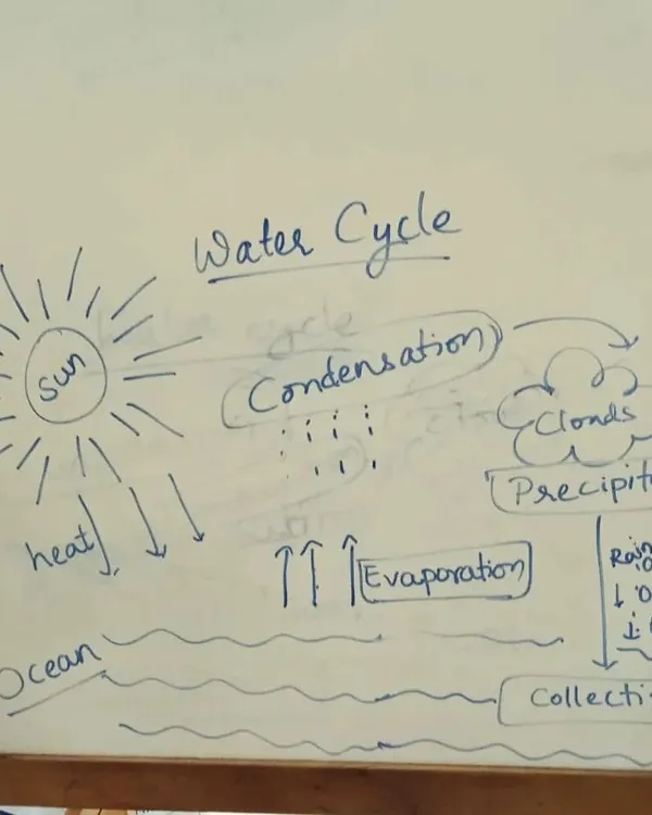 It all starts with a simple drawing. I use a whiteboard to explain the water cycle, from evaporation to precipitation, before we start our hands-on experiment to see it happen in real life.