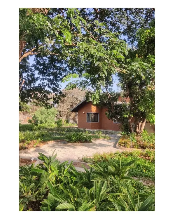 For this residential project, the landscape was designed around existing old-growth trees, including mango, tamarind, and a majestic rain tree. The new structures and plantings occupy the spaces below, respecting these venerable giants.