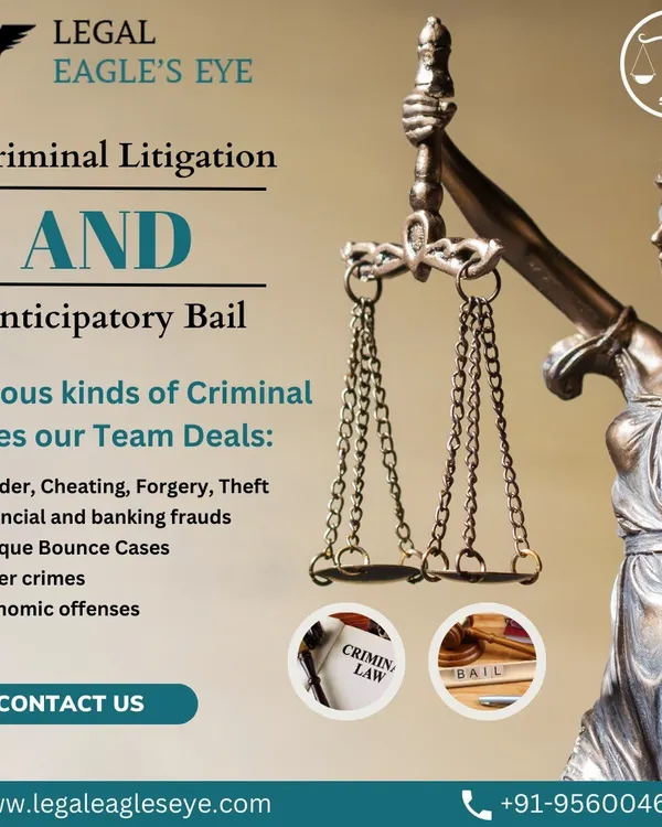 This graphic details the various kinds of criminal cases our team handles, from theft and forgery to financial frauds and cybercrimes. We provide expert criminal litigation and anticipatory bail services.