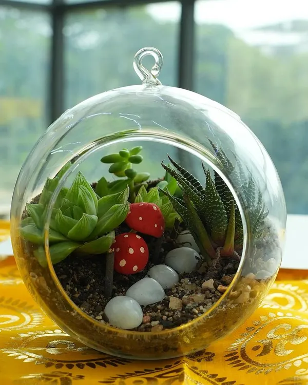 A finished succulent terrarium, ready to be displayed. These self-contained gardens are easy to care for and bring a wonderful piece of nature indoors. Our workshop guides you on soil layering, plant selection, and decorative arrangement.