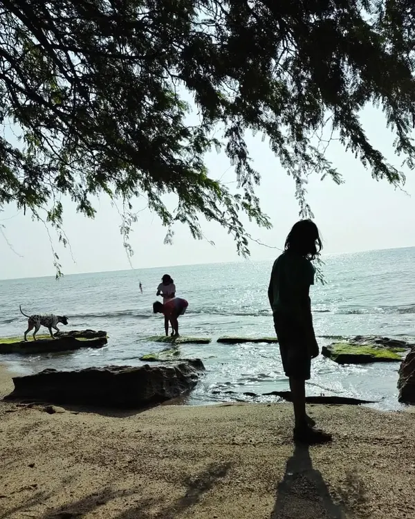 A quiet moment of reflection on the shores of the Gulf of Mannar. These experiences allow children to form a personal and lasting connection with the vastness of the ocean.